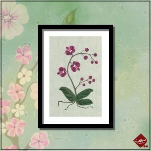 Ebru-Kunst: Moderne Orchidee in klassischer Farbe. Traditionelle türkisch-islamische Kunst, UNESCO-Weltkulturerbe. Nur bei uns im Shop!