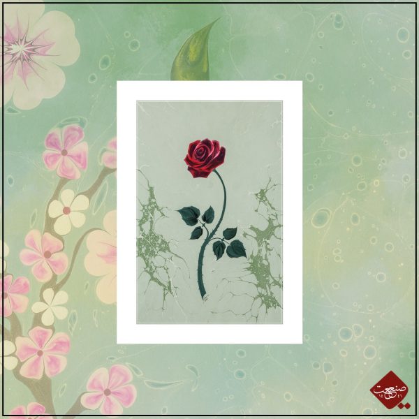 Rote Rose Ebru – Bild 4