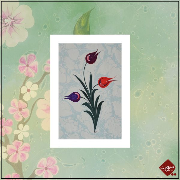 Tulpen Ebru Bunt – Bild 4