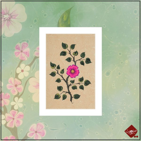 Wilde Rose Ebru – Bild 4