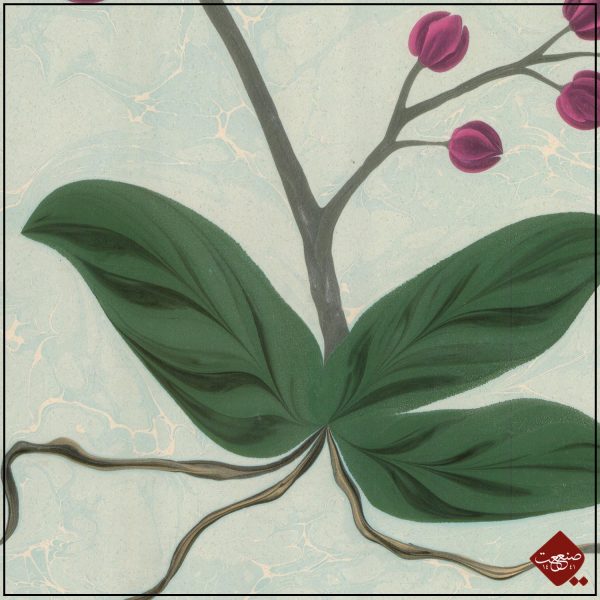 Orchidee Ebru Lila – Bild 3