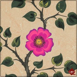 Ebru-Kunst: Einzelne moderne Wilde Rose. Traditionelle türkisch-islamische Kunstform, UNESCO-Weltkulturerbe. Nur bei uns im Shop!
