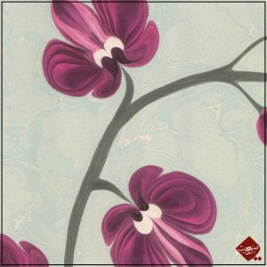 Ebru-Kunst: Moderne Orchidee in klassischer Farbe. Traditionelle türkisch-islamische Kunst, UNESCO-Weltkulturerbe. Nur bei uns im Shop!