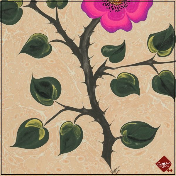 Wilde Rose Ebru – Bild 3